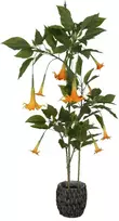 Dirbtinis augalas Datura-Brugmansija, 160 cm