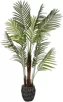 Dirbtinis augalas Palmė Hovėja, 120 cm
