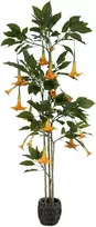 Dirbtinis augalas Datura-Brugmansija, 200 cm