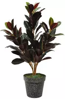 Dirbtinė gėlė-medis fikusas, 96 cm