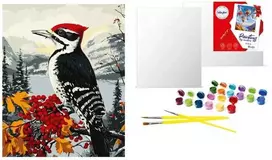 Art Active *****Malow.po num.40x50 Dzięcioł na gałęzi 85998