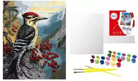 Art Active *****Malow.po num.40x50 Dzięcioł na kalinie 86940