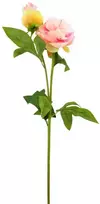 Dirbtinė gėlė bijūnas, 70 cm