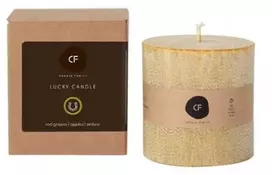 Candle Family Sėkmės žvakė 'Geltona'