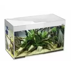 Aquael Glossy 125L LED D&N Baltas (Pagal užsakymą)