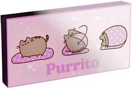 Pyramid Pusheen light up canvas