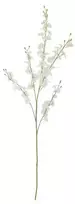 BLOOMINGVILLE orchidėjos stiebas, baltas, dirbtinės gėlės
