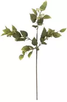 BLOOMINGVILLE eukalipto stiebas, žalias, dirbtinės gėlės