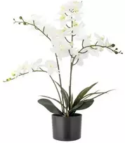 BLOOMINGVILLE orchidėja, balta, dirbtinės gėlės