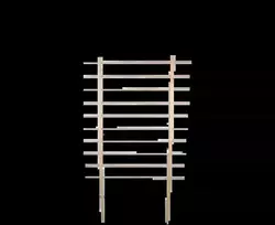 Medinė augalų atrama L, 100 x 2,9 x 170 cm