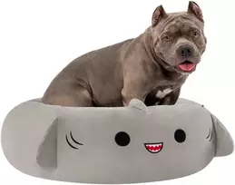 Squishmallows - augintinio guolis - ryklio formos 76 cm (JPT0097-L)