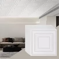 Lubų plytelės sienoms ir luboms, PVC lengvas montavimas, baltas taškuotas raštas, dekoratyvinės akustinės plytelės, 12 vienetų pakuotė 61 cm x 61 cm, interjero apdaila