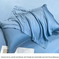 Tencel Ice Silk Pillowcase 48x74cm - 100pcs for Adults 48X74cm (1 pc)