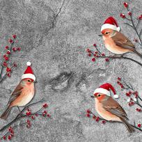 1Set Three Birds in Santa Hats Christmas Red Berry Branches Decorative Wall Stickers Self-adhesive Universal Window Vinyl Decals (as the picture,30x27CM)