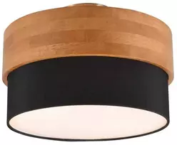 Lubų šviestuvas Trio Seasons 611500202, E14, 2 x 40 W