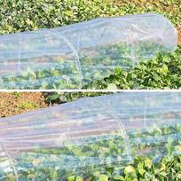 Garden Tunnel Greenhouse Kit with Hoops and PE Cover for Raised Beds Row Crop Protection and Season Extension Accessories one size