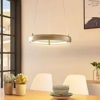 LED pakabinamas šviestuvas Risto nikelio, žiedo formos