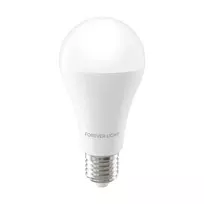 „Telforceone Forever Light“ LED lemputė E27 A65 17W 2100lm 3000K E klasė