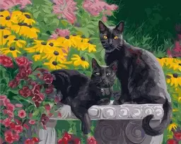 Tapyba pagal skaičius Juodos katės sode 40x50 cm