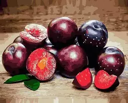 Tapyba pagal skaičius Slyvų natiurmortas 40x50 cm