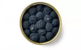 Candlecan Gervuogė-Cinamonas žvakė 280 g