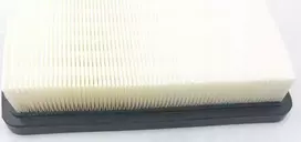 Dedra HEPA filtras, skirtas ded7075, ded7174