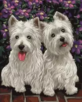 Tapyba pagal skaičius Westie Duo 40x50 cm
