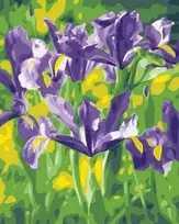 Tapyba pagal skaičius Violetiniai vilkdalgiai 40x50 cm
