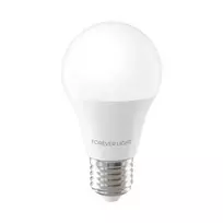 Telforceone Forever Light LED Bulb E27 A55 4W 480lm 6000K class E