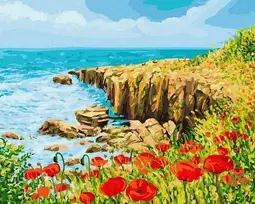 Tapyba pagal skaičius Pakrantės aguonos 40x50 cm