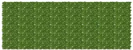 Balkono ekranas su lapais Žalia ir geltona 400 x 150 cm