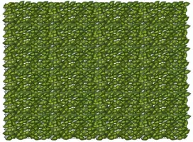 Balkono ekranas su lapais Žalia ir geltona 200 x 150 cm