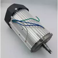 Dedra elektrinis variklis 800W