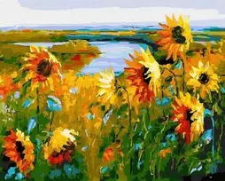 Tapyba pagal skaičius Saulėgrąžų laukas 40x50 cm