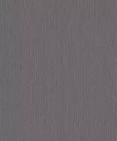 Viniliniai tapetai flizelino pagrindu Erismann FASHION 1210345, 10 x 1,06 m