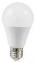 LED lemputė SPECTOR LIGHT, E27 A60, 10W, 3000K, 1200 lm