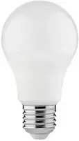 LED lemputė SPECTOR LIGHT, E27 A60, 9W, 4000K, 820 lm