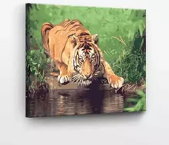 Tapyba pagal skaičius Tigras sraute 40x50 cm