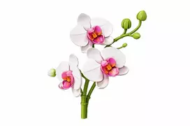 Konstruktorius gėlė „Orchidėja