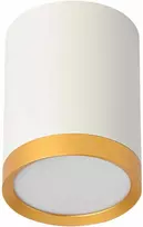 Dekoratyvinis šviestuvas BESK Modelis D70*H85mm