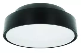 Pakabinamas šviestuvas Lauko šviestuvas su jutikliu Dione IP65 Pawbol 1xE27 max 18W Ø248mm juodas