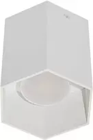 Dekoratyvinis šviestuvas φ100A100mm BESK