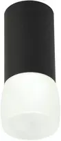 Dekoratyvinis šviestuvas BESK D60xH150mm