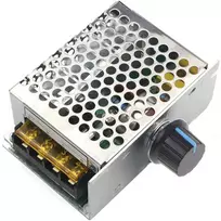 Regulator Variklio greičio reguliatorius