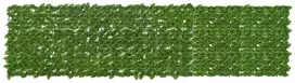 Balkono ekranas su lapais Žalia ir geltona 300 x 75 cm
