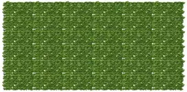Balkono ekranas su lapais Žalia ir geltona 300 x 150 cm