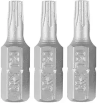 Bity Torx antgaliai T20 x 25 mm, 3 vnt.