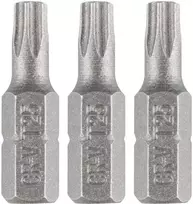 Bity Torx antgaliai T25 x 25 mm, 3 vnt.