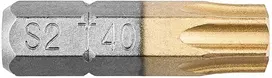 Koncówki Atsuktuvo antgaliai TX40 x 25 mm, 2 vnt.