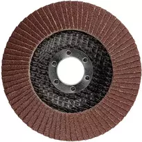 Ściernica Plokštelinis šlifavimo diskas 115 x 22,2 mm, P100
